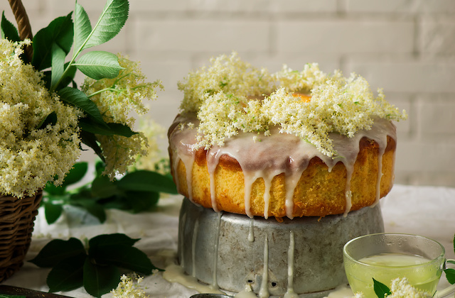 Zitronenkuchen mit Holunderblüten Likör und Holunder