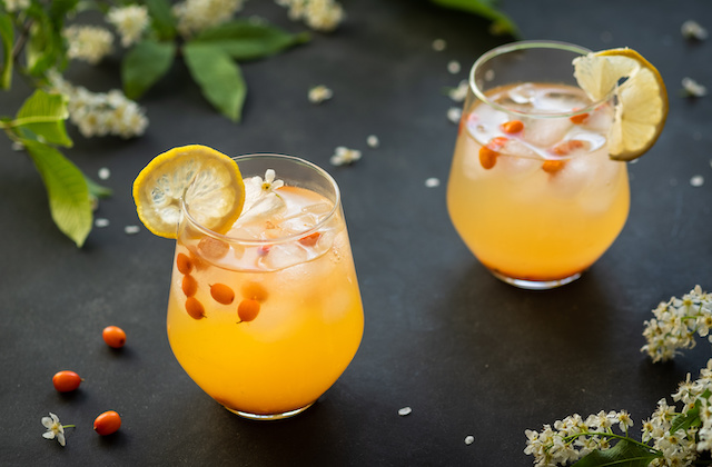 Cocktail mit Gin und Sanddorn und Zitrone